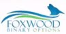 FoxWood Options - брокер бинарных опционов